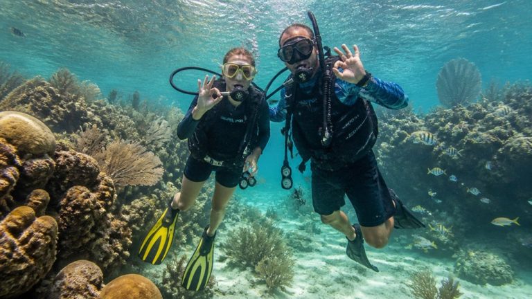 beginner scuba diving key west