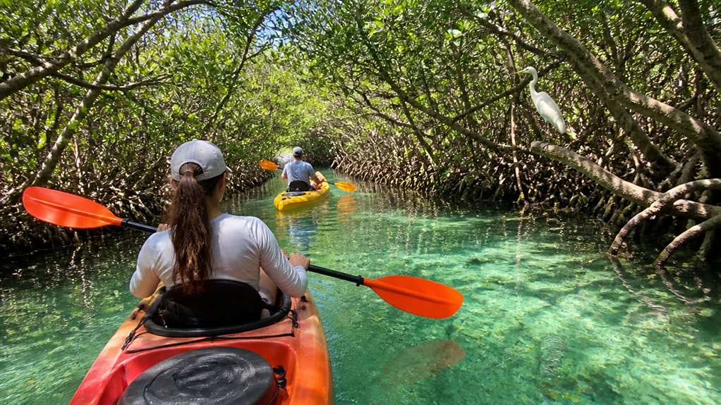 choose kayak tour type