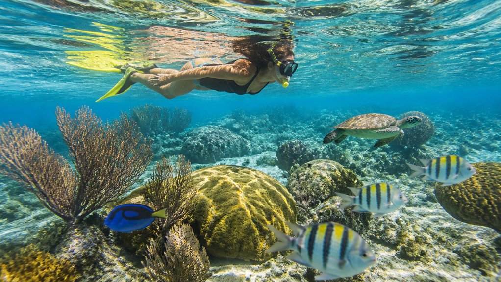 colorful reef wildlife surprises