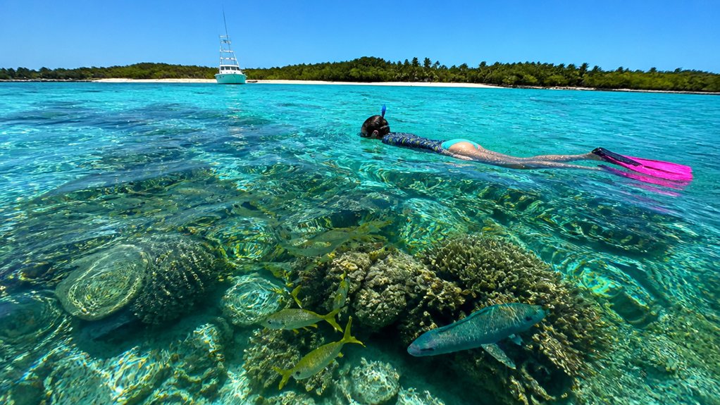 offshore reefs offer best snorkeling