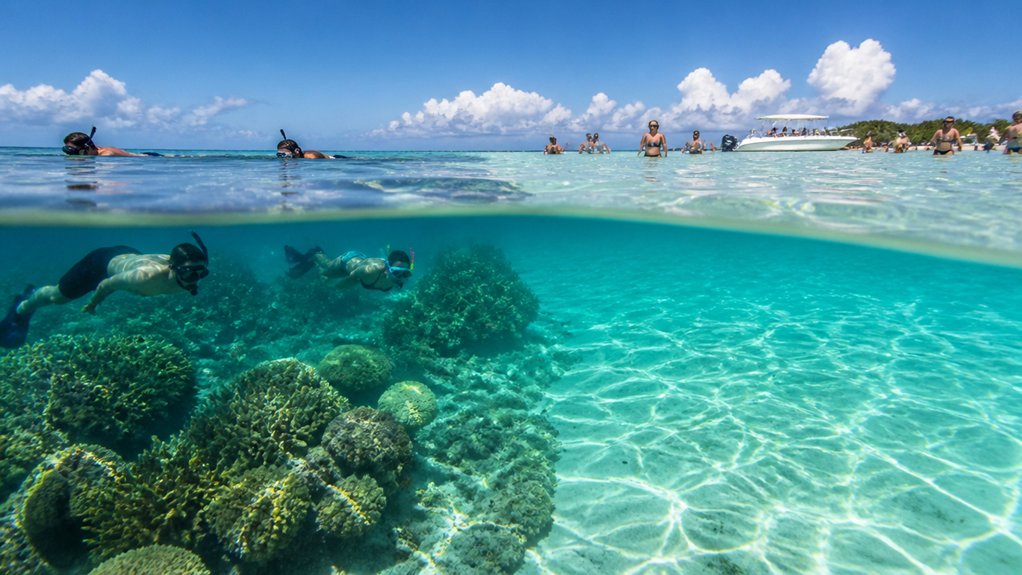 Key West Reef Snorkeling vs Sandbar Snorkeling