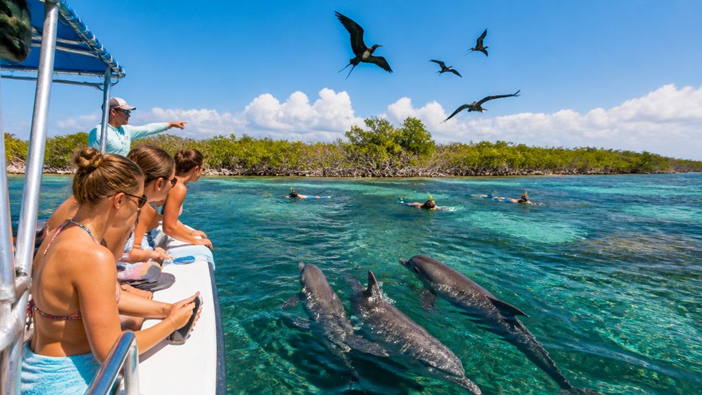 snorkel reefs spot marine life