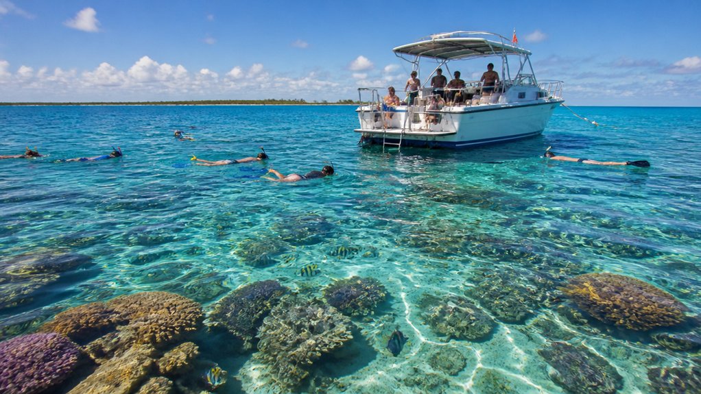 three hour reef snorkel tours