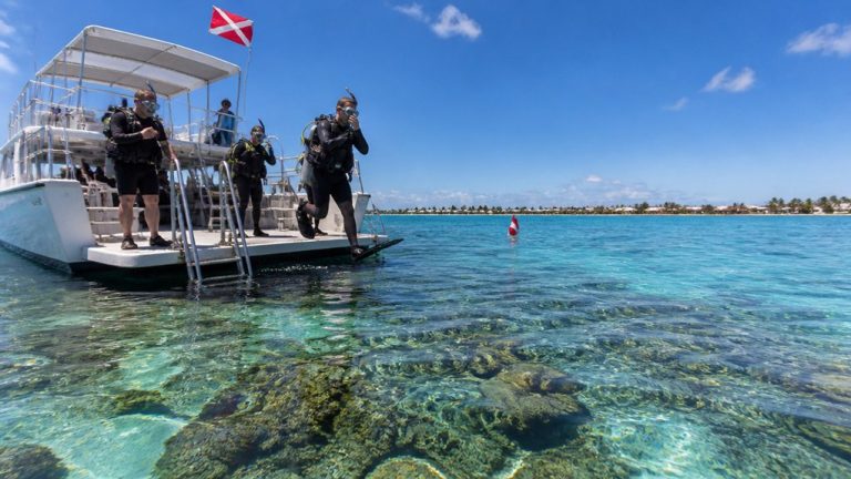Best Scuba Diving Tours in Key West