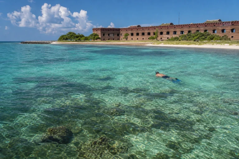Snorkeler near Garden Key with Fort Jefferson in the background