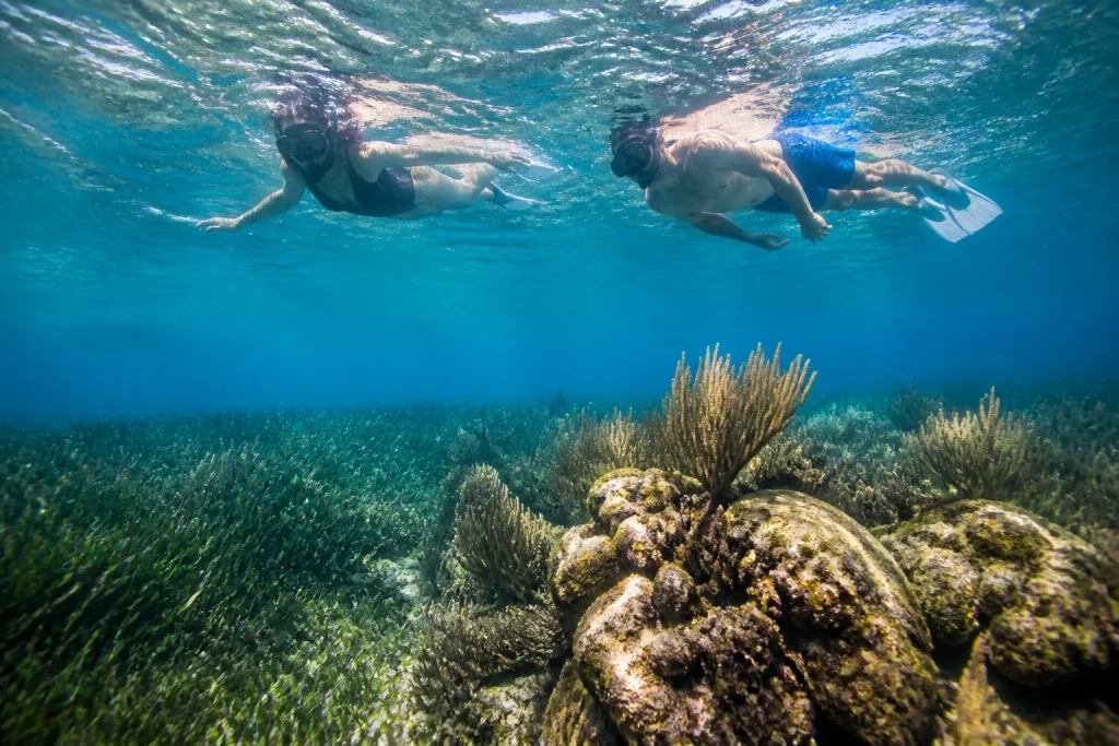 Two snorkelers floating above coral without touching it