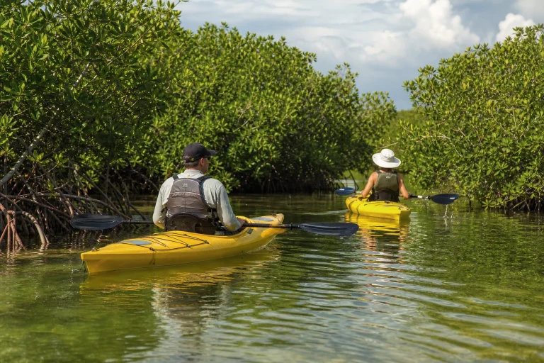 Kayakers paddling through a mangrove and shallow-water landscape near Geiger Key.