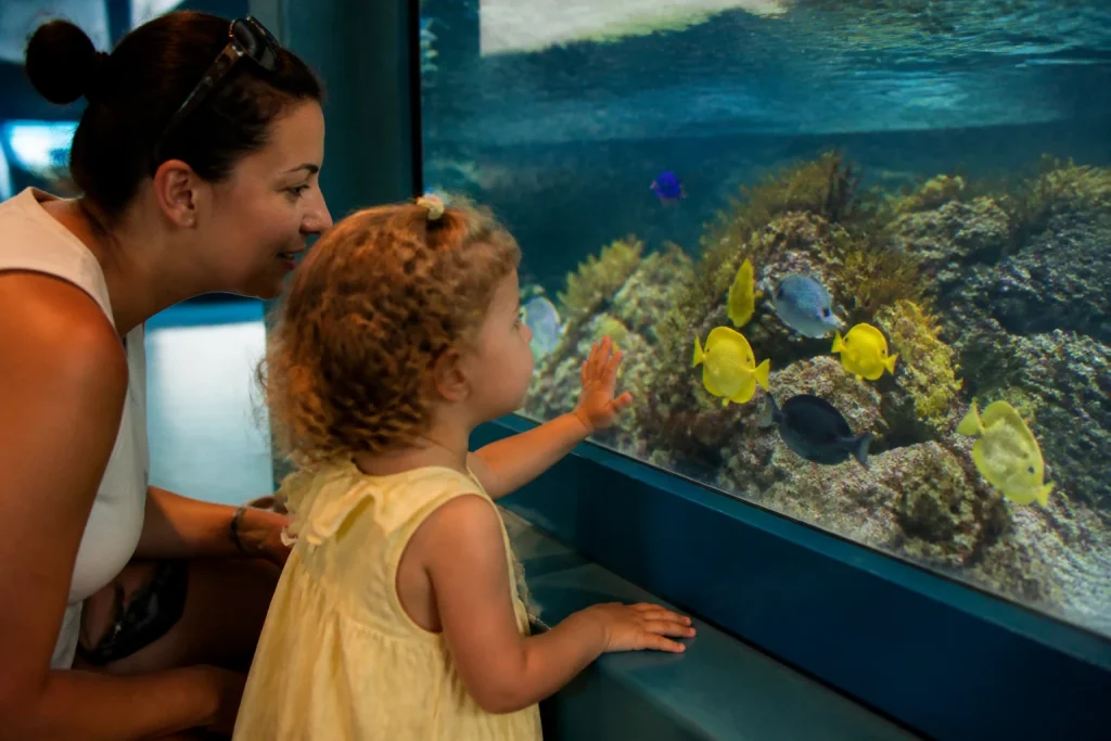 Parent and child viewing tropical fish at a Key West aquarium