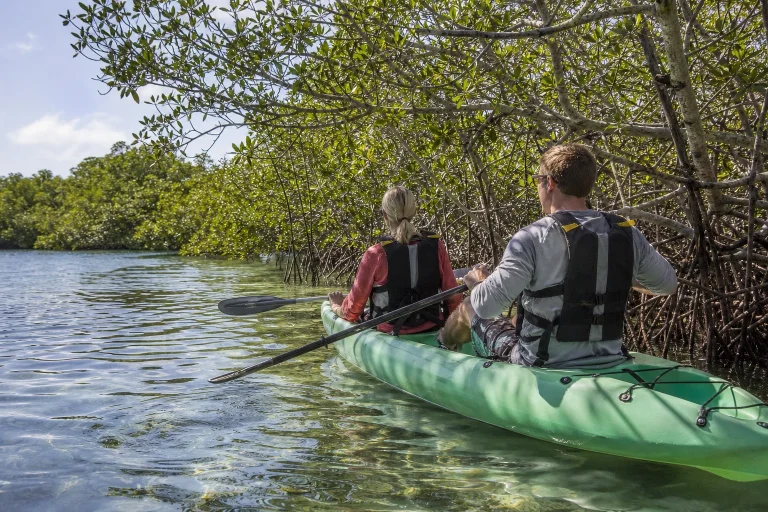 Tandem kayak beside mangroves near Key West