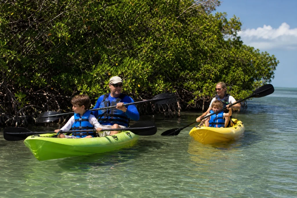 Key West Mangrove Kayak Tours for Families