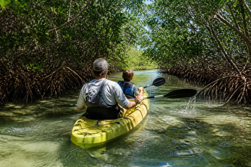 Parent and child entering a Key West mangrove passage by kayak