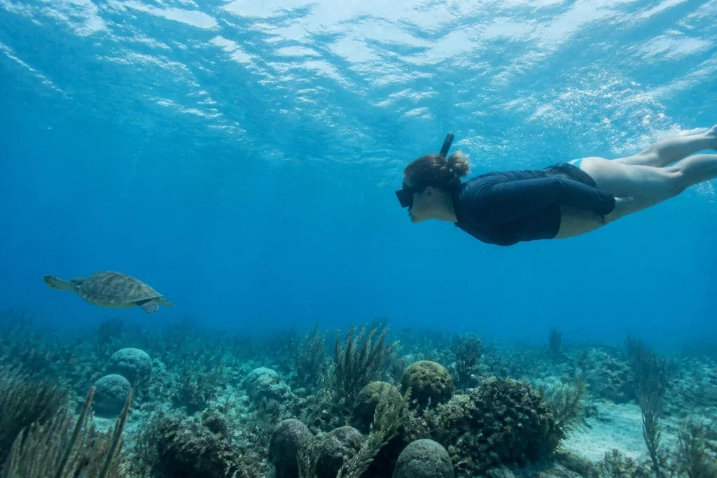 Snorkeler observing a sea turtle from a distance over a reef