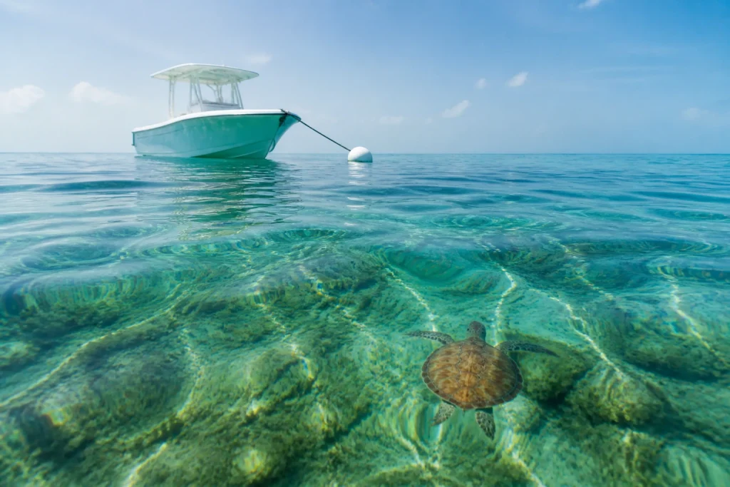 Boat using a mooring buoy above a Florida Keys reef