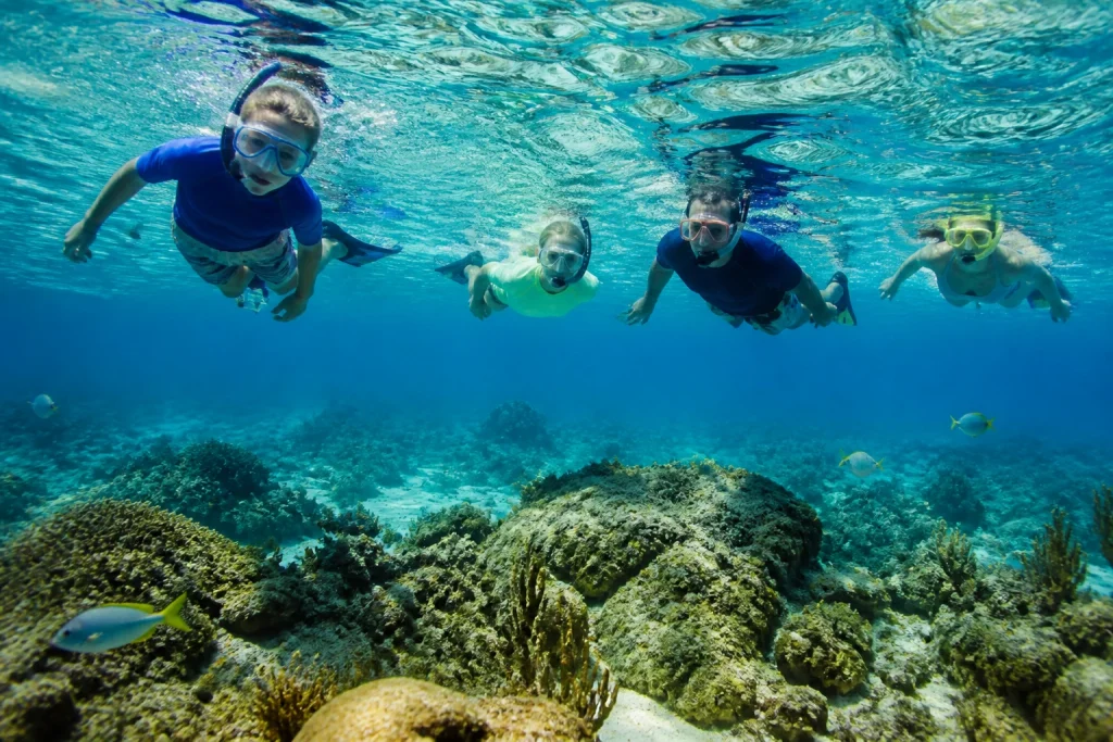 Family snorkeling together above coral habitat in the Florida Keys